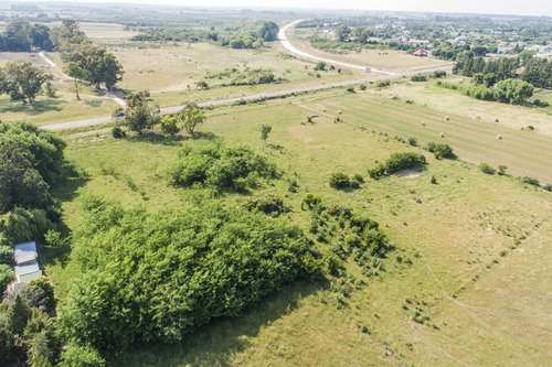 Chacras Venta 4,7 Has Residenciales-productivas Carmelo