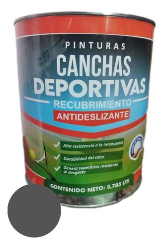 Pintura De Cancha Deportiva Color Gris. Galón