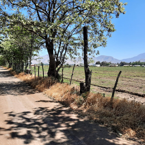 Rinconada De Maipu/autopista Del Sol 6 Hectareas