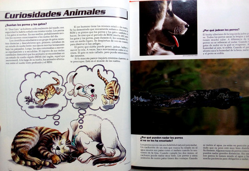 Explora Y Aprende National Geographic Society - 4 Tomos (Usado)
