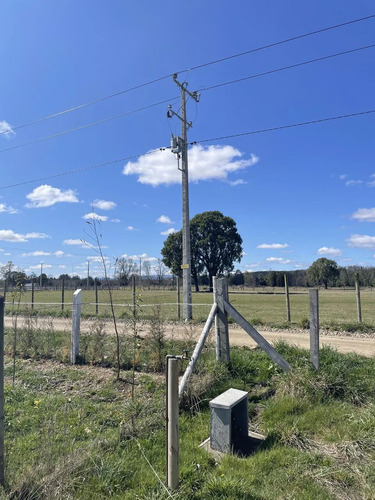 Venta Parcela 5000mts Paillaco