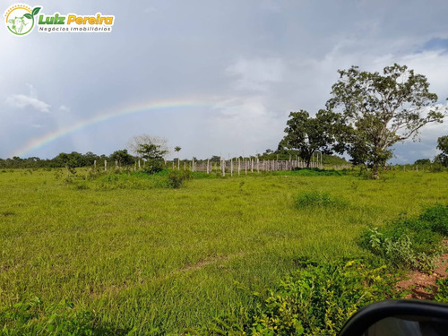 Imagem 1 de 14 de Fazenda Á Venda Em Barra Do Ouro - T0 - 1.621,4 Hectares (dupla Aptidão) - 2129