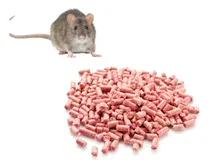 Comprar Veneno Para Ratas Seca Ratas Ratones Roedores Rodenticida 60