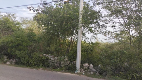 Terreno En Venta Cholul A Pie De Calle En Merida-yucatan