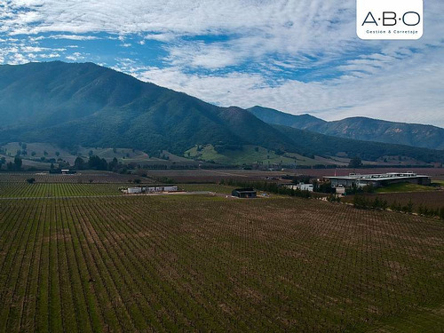 Santa Cruz - Viña 5.000 M2 - Fuegos De Apalta