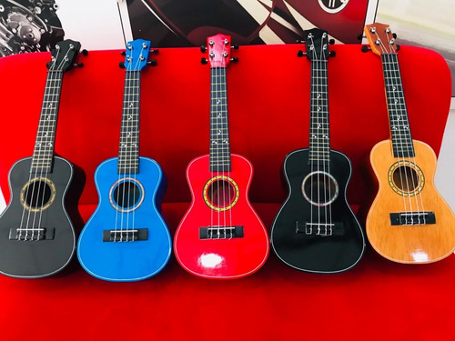 Ukeleles Acusticos Concierto En Cedro Incluye Forro Y Envio