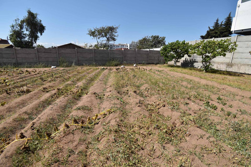 Venta, Terreno En La Serena.