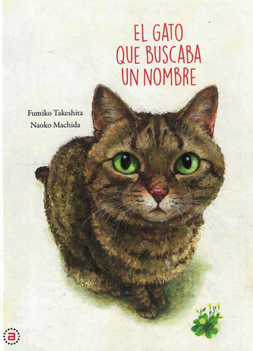 Gato Que Buscaba Un Nombre, El