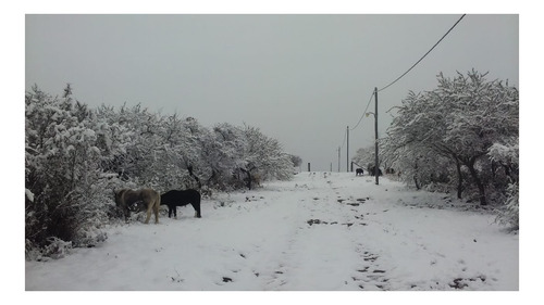 Imagen 21 de 30 de Casa A La Vera Del Rio En Las Sierras