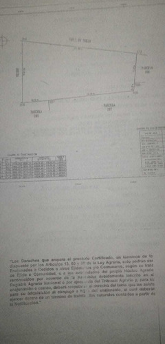 Imagen 4 de 4 de Terreno De 3.33 Hectáreas A 342 Metros De Carretera.