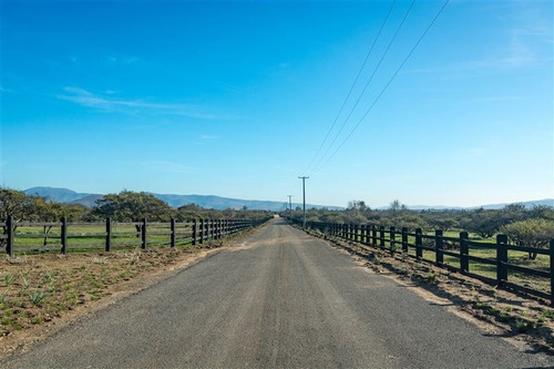 Imagen 6 de 28 de Agrícola En Venta En Zapallar