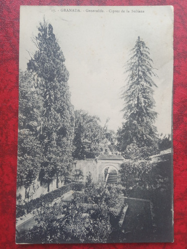 España Granada - Generalife Ciprez De La Sultana 1925 Postal