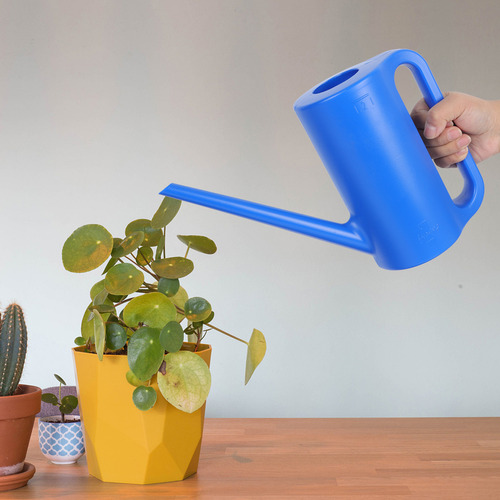B Regadera Para Plantas De Interior, Jardinería, Botella De