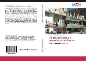 Libro Poliacrilamidas En Mesofases Laminares - Esteban Pa...