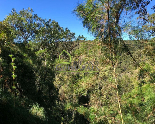 Imagem 14 de 22 de Linda Chácara Com 30.000 M² Á Venda Em Rancho Queimado, Sc - Ch00018 - 69903101