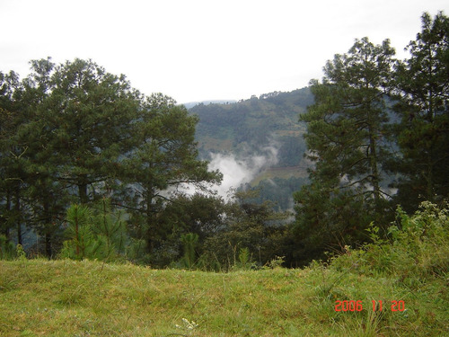 Venta De Lotes Campestres Sin Enganche Todas Las Medidas