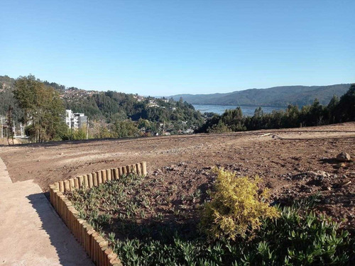 Terreno Inmobiliario 5.500 M2 Excelente Ubicación Lonco Ray