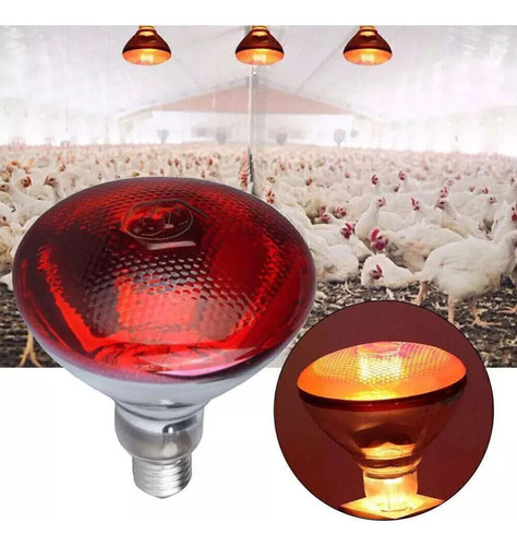 Ff Lámpara Calor Con Bombilla Roja For Criadores Pollos