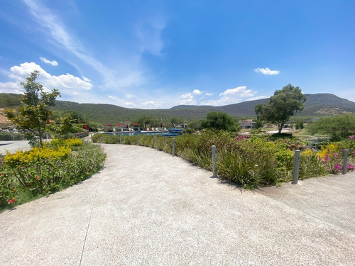 Imagen 5 de 21 de Casa En Venta Con Recamara En Planta Baja En Altozano Querétaro.