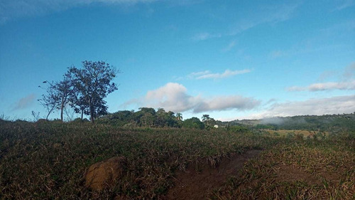 Imagem 8 de 14 de V20- Venha Aproveitar Terrenos Em Aruja Com Facil Acesso