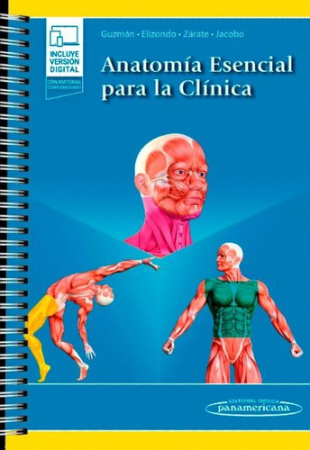 Guzmán Anatomía Esencial Para La Clínica 1era Ed.