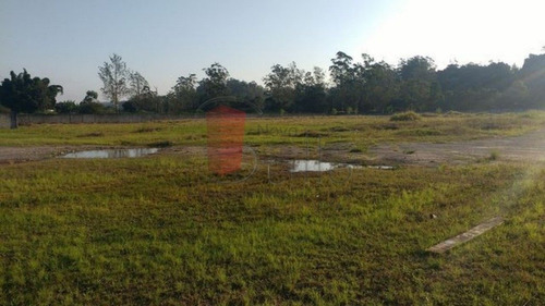 Imagem 8 de 14 de Galpao - Ponte Seca - Ref: 10613 - V-10613