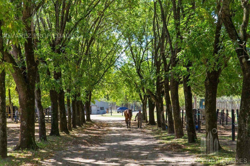 Imagen 16 de 22 de Terreno - Las Praderas De Lujan