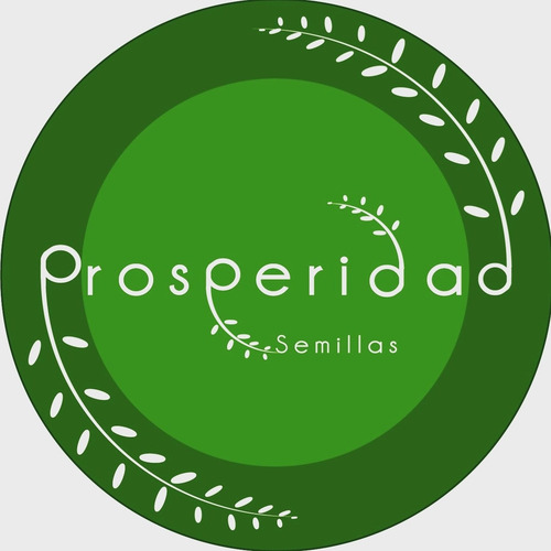 Semillas Calabaza Decorativa Cisne Prosperidad