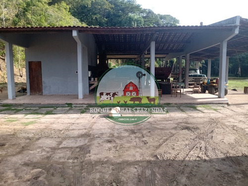 Imagem 5 de 20 de Fazenda À Venda Com 80 Alqueires Paulista No Vale Do Ribeira-sp Ref.: 0858