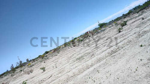 Century21lopez Vende Finca De 26hs Inculta En Las Catitas, Santa Rosa Mendoza