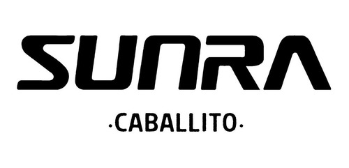 Imagen 15 de 15 de Cuatriciclo Electrico Cardanico Atv 1500w Sunra Caballito