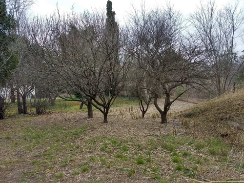 Imagen 1 de 13 de Terreno En Venta En Huerta Grande