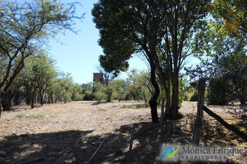 Lote De 1500m2 En Cerro De Oro, Sobre Calle Cuesta De La Granadilla
