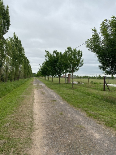 Vendo Terreno De 456 M2 En Ibarlucea - Barrio Las Casuarinas - Barrio Cerrado