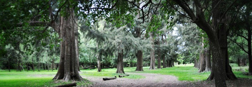 Imagen 14 de 30 de La Alborada Club De Campo - Jeppener - Lote De 1.000 M2