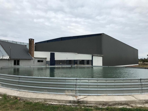 Imagen 14 de 24 de Alquiler Y Venta Galpon Nave Industrial Deposito Ruta 5 Km 23,500