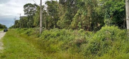 Imagem 4 de 12 de Ótimo Terreno No Jardim Marambá, Em Itanhaém 4196