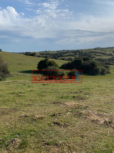 Imagen 18 de 30 de Venta Campo Ubicado En Garzón