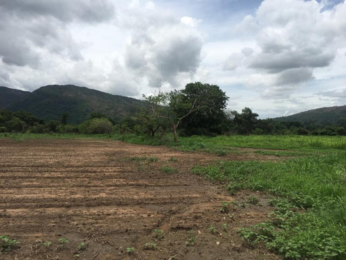 Se Vende Terreno En Hacienda La Cumaca 500h