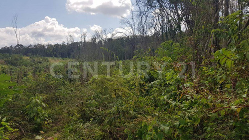 Terreno En Tekax 120 Hectáreas Propiedad Privada. Tekax Yucatán.