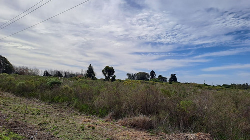 Vendo Campo 200 Mts De Frente Ruta 1