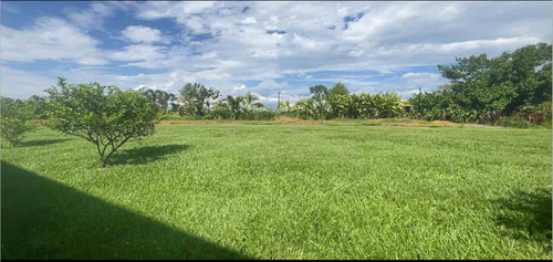 Casa Campestre En Venta En Tebaida/quindio (279062666).