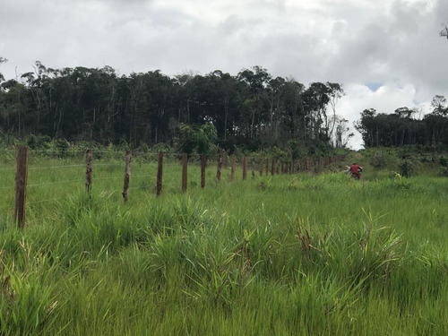 Vendo Fazenda De 5200 Hec Em Roraima ( 6097 )