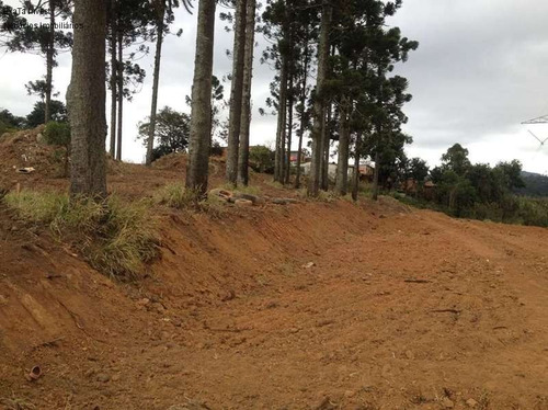 Imagem 2 de 6 de Area Comercial Para Venda, Área De Zis (zona De Interesse Social), Com Possibilidade De Construção Mcmv (minha Casa Minha Vida), - Vizinhança Repleta De Casas E Prédios Populares. - Ar00008 - 682000
