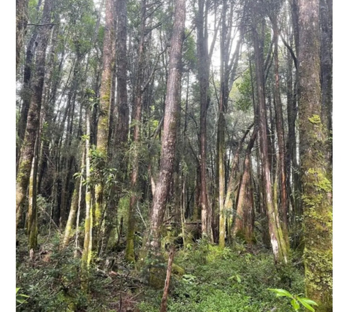 Campo En La Unión Huaillihuape - Austral Partners
