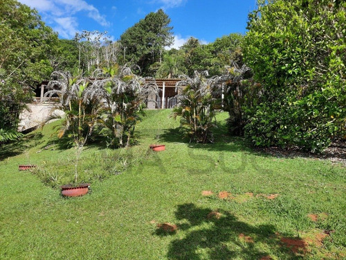 Imagem 10 de 30 de (24.000 M²) Belo Sitio À Venda Em Juquitiba/sp, Com Lago, Piscina, Salão De Festas E Trilhas Para Caminhar E Contemplar A Natureza. - 89 - 70390936