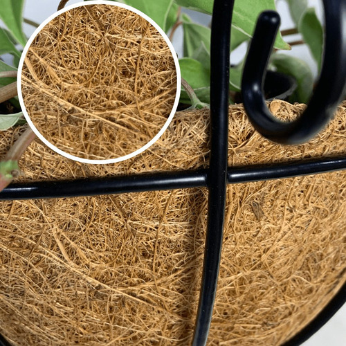 5 Vasos De Parede De Fibra De Coco 30cm De Plantas Meio Vaso