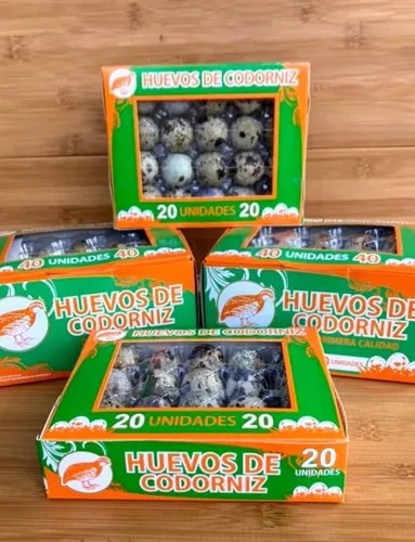 Promoción Bultos X 500 Envases