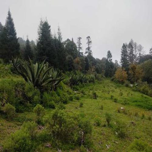 Excelente Terreno En Sta. Rosalia , Mineral Del Monte