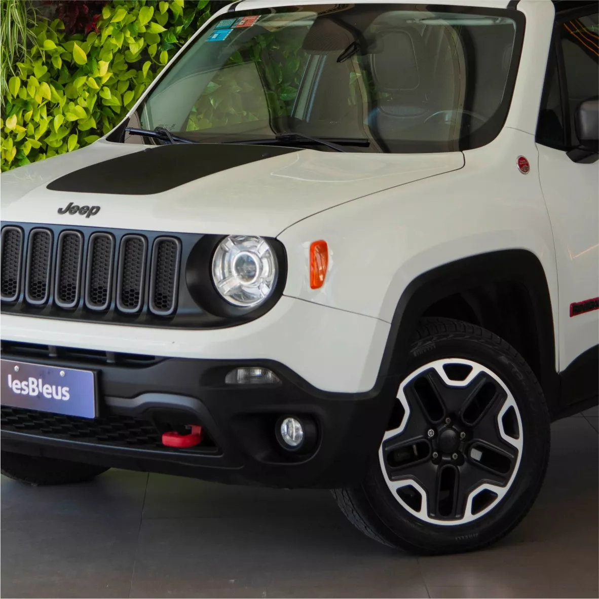 Jeep Renegade 2.4 Trailhawk At9 4x4